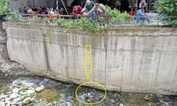 Mahsur Kalan Horoz İçin Seferber Oldular!