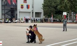 Tokat'ta hassas burunlardan nefes kesen gösteri