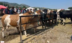 Kurbanlık Ayıplı Çıkarsa Manevi Tazminat Alınabilir! Tüketiciler Haklarını Biliyor mu?