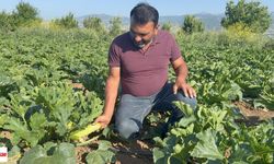 Don Vurdu, Umut Yeşerdi: Tokat’ta Çiftçi Öşür Niyetine 300 Kilo Sebze Dağıttı