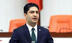 Kene Isırıkları Meclis Gündeminde: MHP’li Vekilden Kritik Hamle