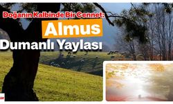 Doğanın Kalbinde Bir Cennet: Tokat Almus Dumanlı Yaylası