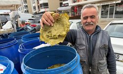 Erbaa'da Salamura Bağ Yaprağına Bayram Dopingi