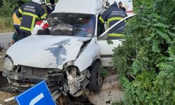 Tokat'ta araç ağaca çarptı: Yaralılar var
