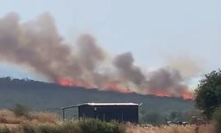 Bursa’da iki ayrı noktada orman yangını