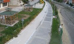 Kediye yardım etmek isterken su kanalına düşerek ayağını kırmıştı, görüntüler ortaya çıktı!