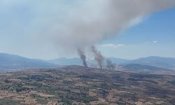 Tokat’ta korkutan yangın yayılıyor