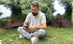 Tokat'ta tilkiyi besleyen vatandaş, o anları kaydetti