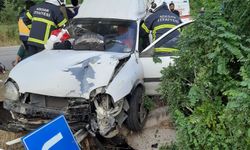D-100 Karayolu'nda Trafik Kazası: Hafif Yaralılar Var