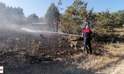 Orman Yangınlarıyla İlgili Başkan Ergül Ünal’dan Vatandaşa Hayati Uyarı!