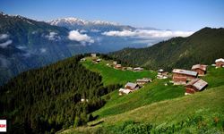 Karadeniz'in En İyi 10 Yemeği Belirlendi, Kuymak'tan Etli Dolmaya, Hamsili Pilav'dan Karalahana Sarmasına Hepsi Listede