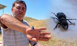 Tokat'a 90 km mesafede buldular: Öldürmenin cezası 557 bin TL...