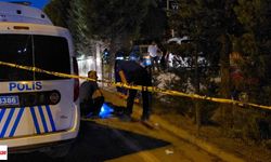 Yolun Karşısına Geçmeye Çalışırken Hayatını Kaybetti