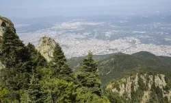Bursalılar İsyanda: Tokat'ta Var, Bursa'da Yok!