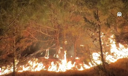 Çanakkale’de Orman Yangını 2. Gününde: Havadan ve Karadan Müdahale Sürüyor