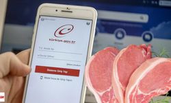 Domuz eti kullanan işletmeler e-Devlet’te görülebilecek