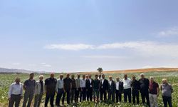 AK Parti Tokat Milletvekili Cüneyt Aldemir’den Çamlıbel ve Çevre Köylerde Yoğun Saha Çalışması