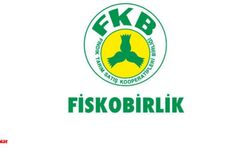 Fındık Üreticisine Müjde: FİSKOBİRLİK’ten Yeni Sezon Alım Tarihi