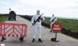 Tokat'ta Şap Karantinası Başladı İkinci Bir Emre Kadar Çıkışlar YASAKLANDI