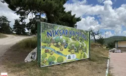 Çamiçi Yaylası’nda Niksar Belediyesi Kamp Alanı Fiyatları Merak Ediliyor