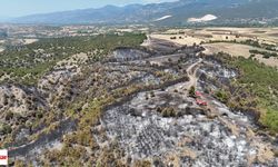 Tokat'ta söndürülen orman yangınının izleri dronla görüntülendi