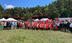 Niksar 7. Ali Pehlivan Güreşleri Coşkuyla Tamamlandı