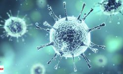 Yine Çin Yine Salgın Sivrisineklerden Bulaşıyor Chikungunya Virüsü Vaka Sayısı 7000'i Geçti!