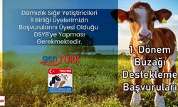 1. Dönem Buzağı Destekleme Başvuruları Devam Ediyor