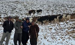 Aniden kar bastırınca yaylada mahsur kalan kadın kurtarıldı