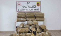 Tokat’ta 340 kilo kaçak tütün ele geçirildi