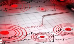 4,8 Büyüklüğündeki Deprem Panik Yarattı