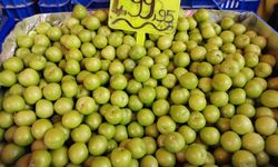 Can Erik 499.5 TL İle Cep Yakarak Çıktı