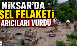 Niksar’da Sel Felaketi Arıcıları Vurdu