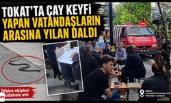 Tokat'ta çay keyfi yapan vatandaşların arasına yılan daldı
