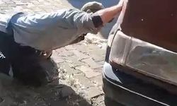 Tokat'ta aracın motor kısmına girdi, itfaiye ekipleri müdehale etti