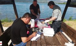 Almus'ta Haziran Numuneleriyle Sazanların Geleceği İzleniyor