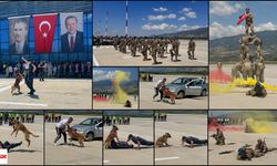 Atatürk'ün Tokat'a Gelişi Coşkuyla Kutlanıyor: Jandarma Göz Doldurdu, 203. Filo Gururlandırdı