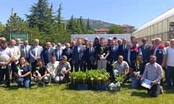 Tokat'ta Emek Toprakla Buluştu 16. Geleneksel Asma Fidanı Dağıtımı Yapıldı