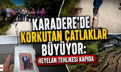Tokat'ta Korkutan Çatlaklar Büyüyor: Heyelan Tehlikesi Kapıda