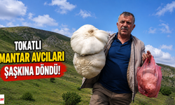Tokatlı Mantar Avcıları Şaşkına Döndü