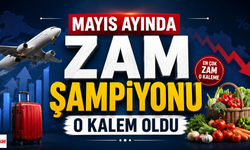 Mayıs Ayında Zam Şampiyonu O Kalem Oldu