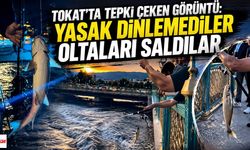 Tokat'ta tepki çeken görüntü: Yasak dinlemediler oltaları saldılar