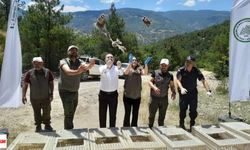 Tokat'ta Doğaya 200 Keklik Salındı: Zararlılarla Biyolojik Mücadele Güçleniyor