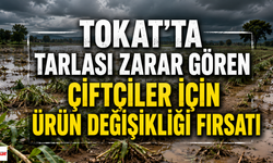 Tokat'ta Tarlası Zarar Gören Çiftçiler İçin Ürün Değişikliği Fırsatı