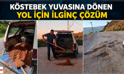 Köstebek yuvasına dönen yol için ilginç çözüm