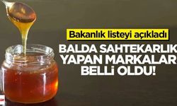 Bakanlık İfşa Etti! Tokat'ta Üretilen Bal Markası Listede Yer Aldı