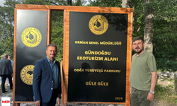 Tokat'ın Saklı Cenneti Turizme Hazırlanıyor: Gündoğdu Şelalesi'nde Doğayla İç İçe Yeni Rota