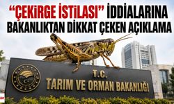 "Çekirge İstilası" İddialarına Bakanlıktan Dikkat Çeken Açıklama