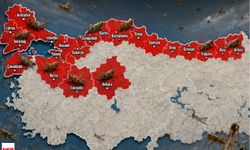 Çekirge İstilası Tokat’ın Kapısına Dayandı: Samsun Ve Ordu Kırmızı Alarmda!