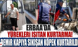 Erbaa'da Yürekleri Isıtan Kurtarma! Demir Kapıya Sıkışan Köpek Kurtarıldı
